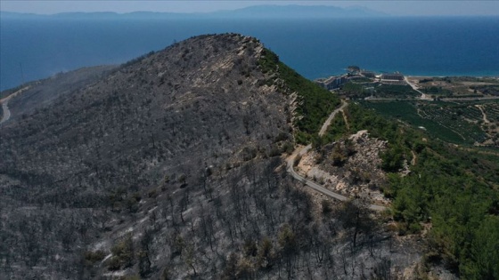 Menderes yangınından geriye kalanlar yürekleri yaktı