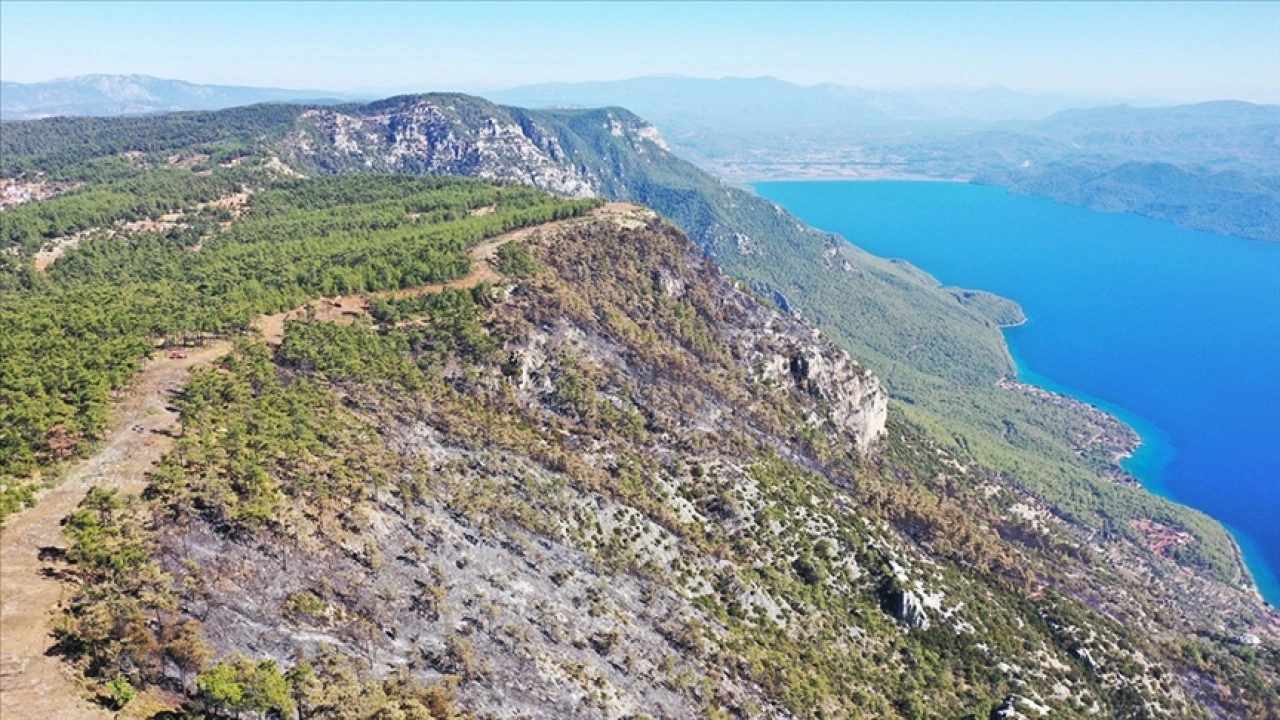 Menteşe'de ormancılar 6 kilometre 'yangın şeridi' açarak alevlerin önünü kesti