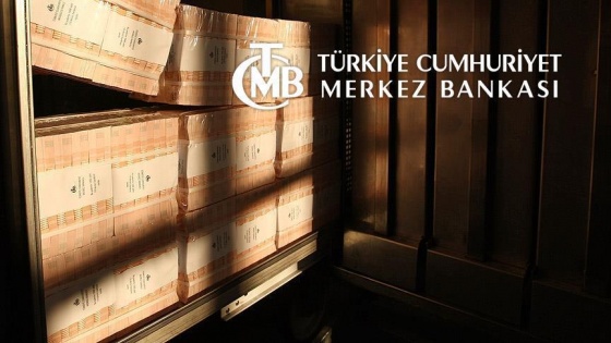 Merkez Bankası yenilediği veri sistemini erişime açtı