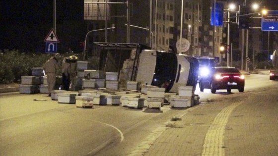 Mersin'de arı kovanı taşıyan kamyon kaza yapınca arılar etrafa saçıldı