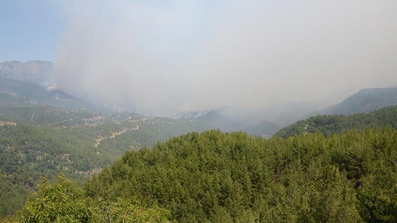 Mersin'deki orman yangınına müdahale sürüyor