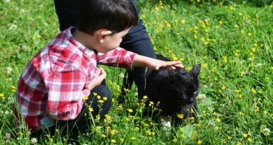 Mert Efe’nin kedi sevgisi kaybolmasına sebep oldu