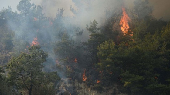 Meteoroloji'den 'orman yangını' uyarısı