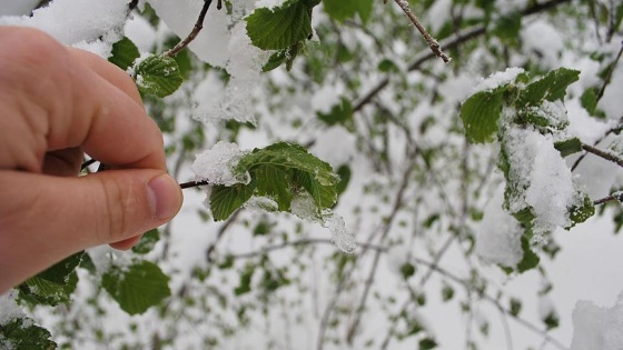 Meteorolojiden 5 il için don uyarısı