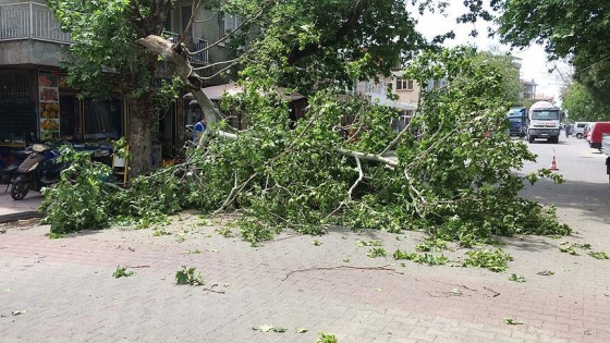 Meteorolojiden sağanak ve kuvvetli rüzgar uyarısı