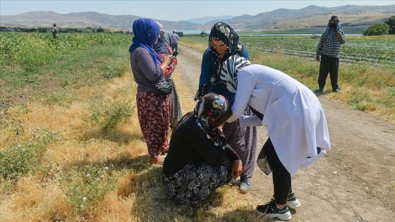 Mevsimlik işçiler aşıya gidemeyince sağlık ekipleri tarlaya indi