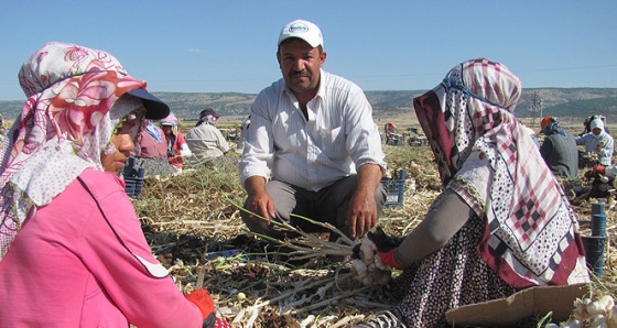 Mevsimlik işçiler dönüş yoluna düştü... İşte sorunları...