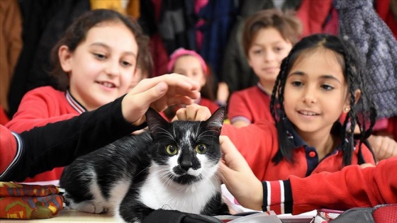 Minik öğrencilerin okulu sahipsiz 'Kartal'a yuva oldu