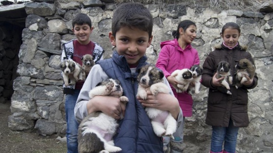 'Minik yürekler' yavru köpekleri sahiplendi