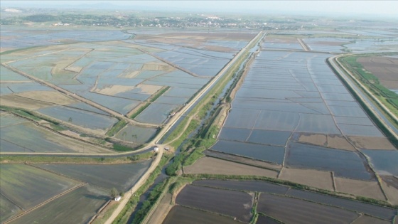 Modern sulama tesisleri Edirne çiftçisine yıllık 272 milyon 950 bin lira ilave gelir sağlıyor