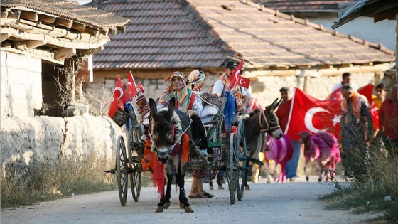 'Mor koyunlar' yarışmaya hazır