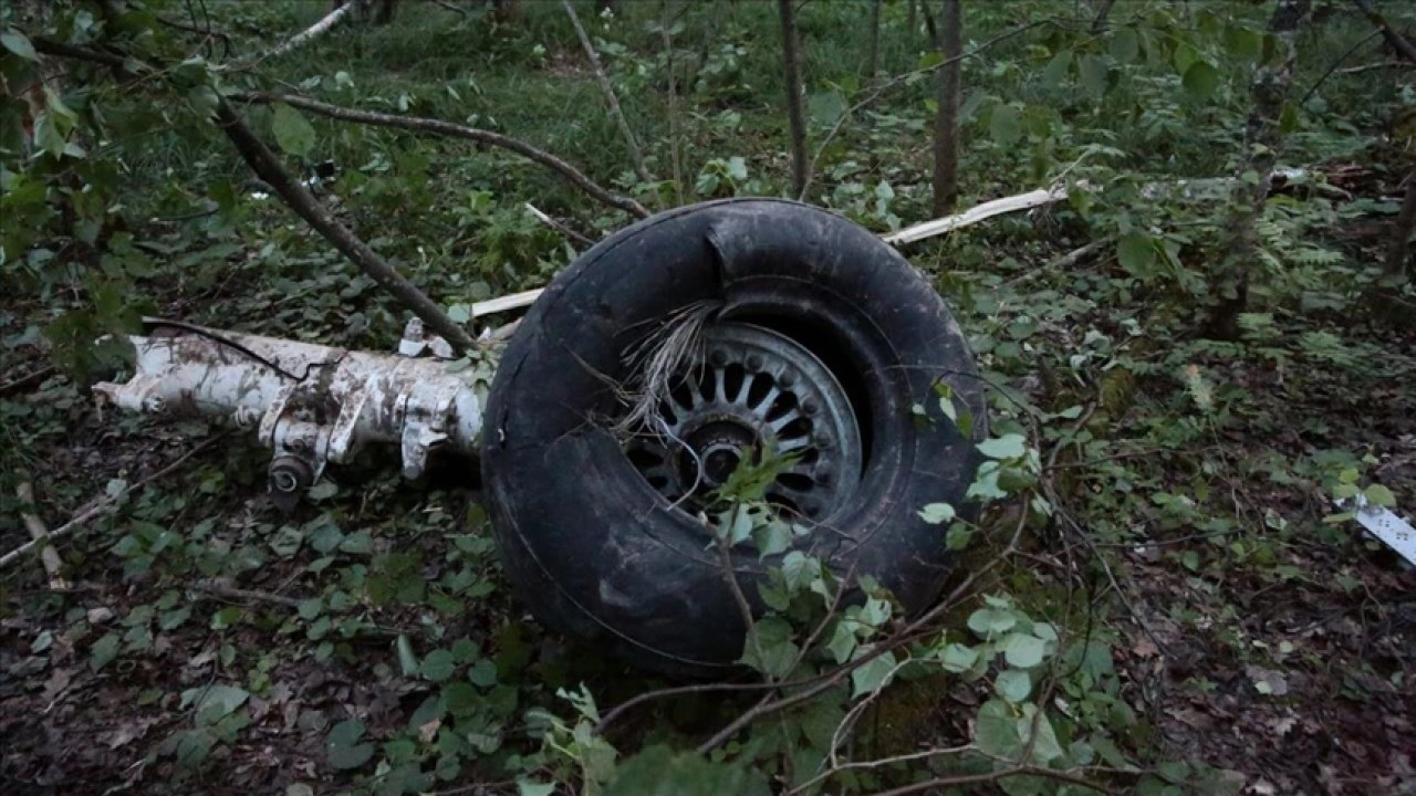 Moskova bölgesinde hafif motorlu uçağın düşmesi sonucu 2 kişi öldü