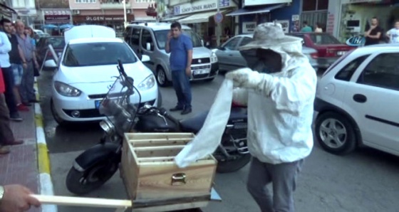 Motosiklet kaskına yuva yapan arılar panik yaşattı