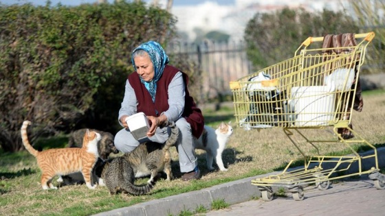 Muazzez teyzenin 5 kilometrelik 'iyilik' yolculuğu