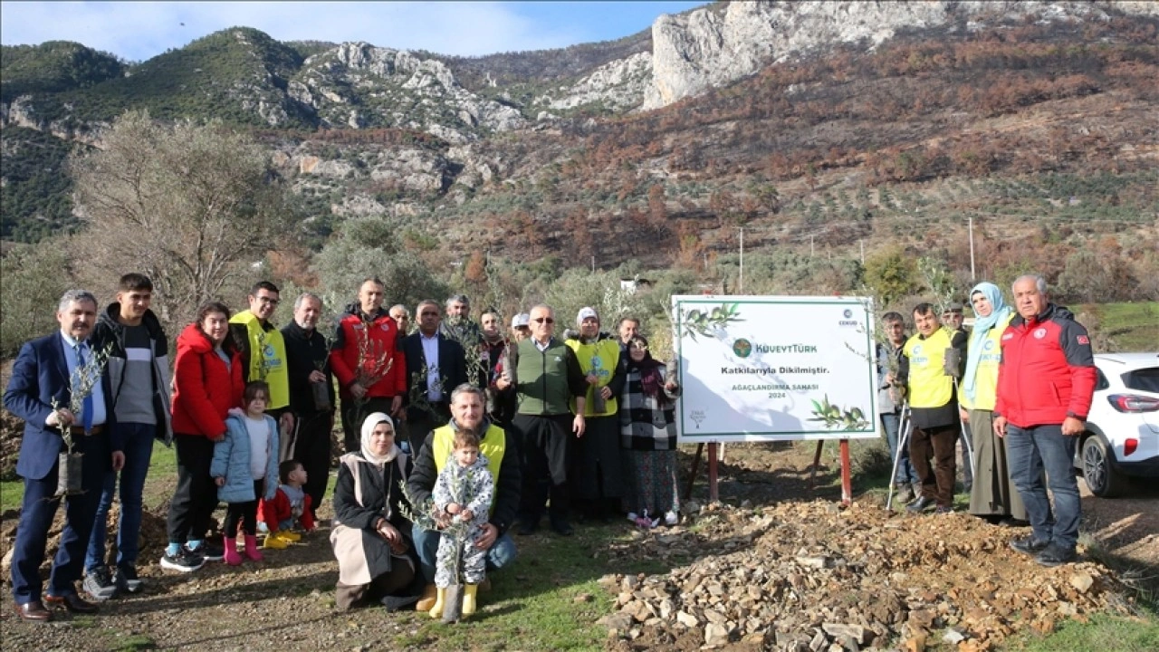 Muğla'da orman yangınından etkilenen üreticilere zeytin fidanı dağıtıldı