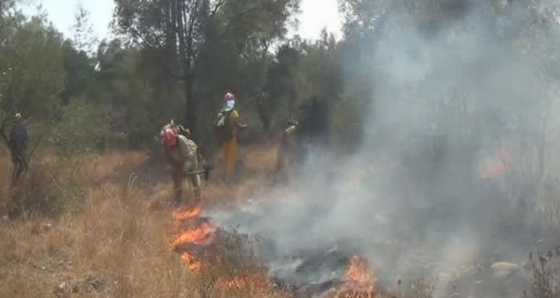 Muğla’da yangın büyümeye devam ediyor