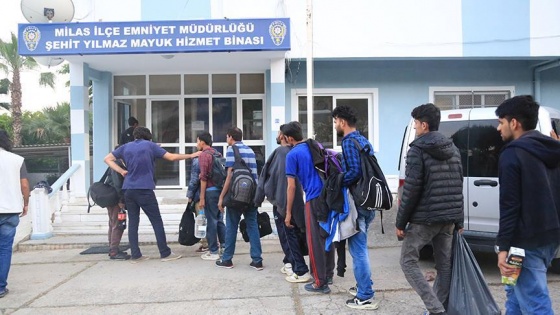 Muğla'daki operasyonda 98 kaçak göçmen yakalandı