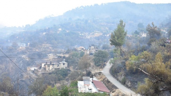 Muğla'daki orman yangını kontrol altına alındı