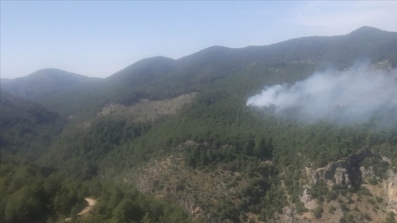 Muğla'nın Ortaca ilçesinde orman yangını başladı