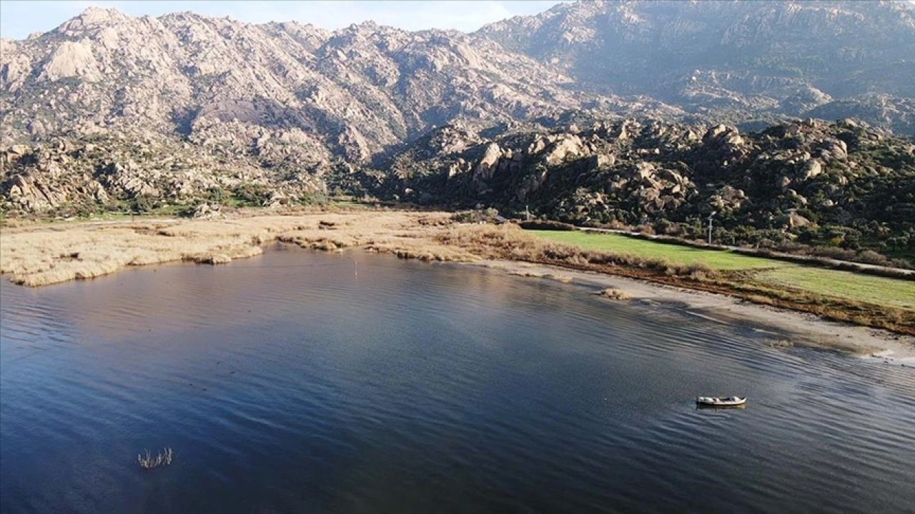 Muğla ve çevresindeki yağış bereketi Bafa Gölü'ne nefes aldırdı