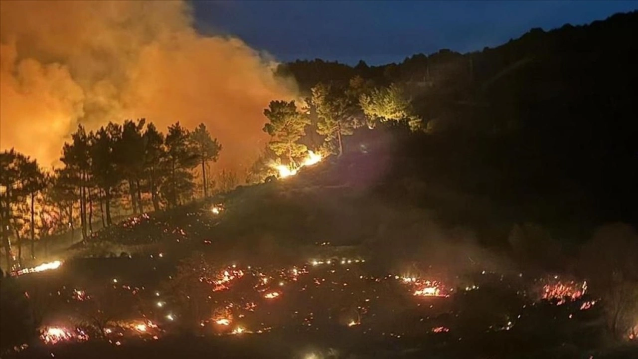 Muğla'da çıkan iki orman yangınına müdahale ediliyor