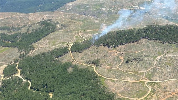 Muğla'da çıkan orman yangını kontrol altına alındı