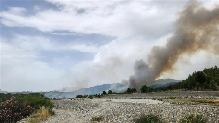 Muğla'nın Menteşe ilçesinde orman yangını çıktı