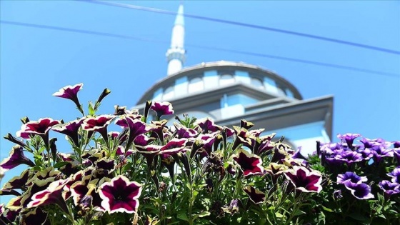 Muhtar cami avlusunu adeta botanik bahçesine dönüştürdü