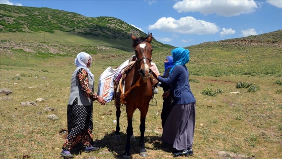 Muş'ta berivanlar her gün at sırtında 8 kilometre yol gidiyor