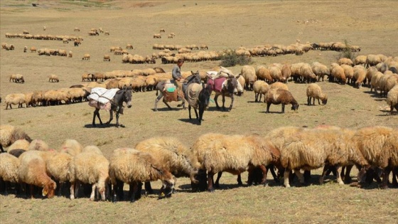 Muş'ta göçerlerin dönüş yolculuğu başladı