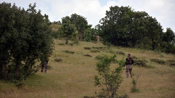 Muş ve Bitlis'te 4 terörist etkisiz hale getirildi