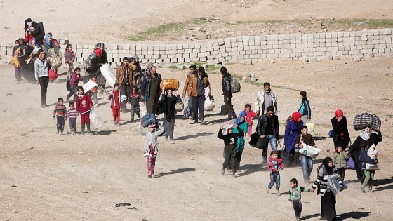 Musul operasyonunda 71 binden fazla kişi yerinden oldu