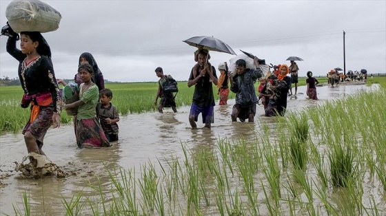 'Myanmar, Rohingya halkına karşı toplu suç işliyor'