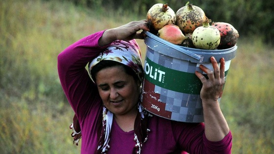 Nar taneleri 'kınalı eller'de ekşiyo