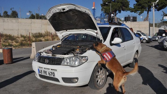 Narkotik köpeği Çıtır'ı acı biber bile yanıltamadı