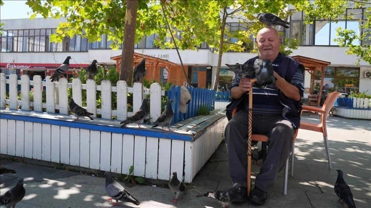 Necmi dedenin köyden şehre güvercin besleme mesaisi