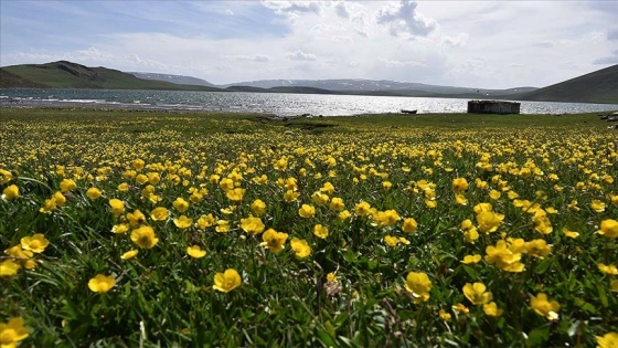 Nevruz'un habercisi son cemre bugün toprağa düşüyor