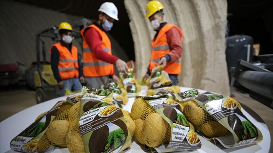 Nevşehir&#039;de laboratuvarda analiz edilen patates pişirme amacına göre paketleniyor