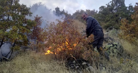 Niğde Hasandağı eteklerinde orman yangını