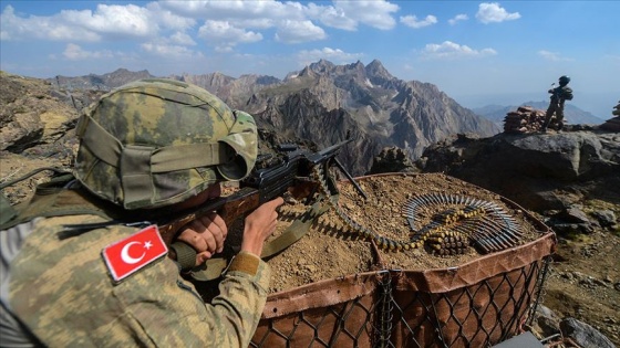 Nusaybin'de bir terörist ikna çalışması sonucu güvenlik güçlerine teslim oldu