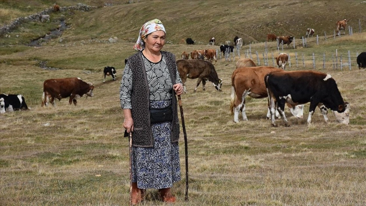 Obada 40 yıldır besicilik yaparak ailesinin geçimini sağlıyor