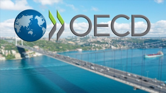 OECD İstanbul Merkezi yarın açılacak