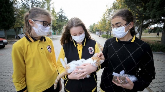 Öğrenciler harçlıklarıyla aldıkları mamalarla sokak hayvanlarını besliyor