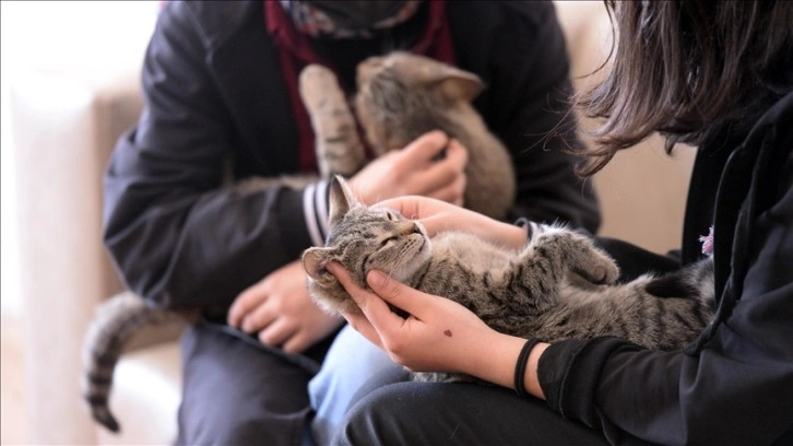 Öğrencilerin sahip çıktığı 'Şanslı' ve 'Üzüm'ün yuvası okul oldu