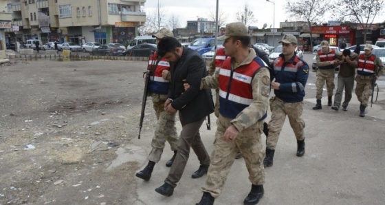 Oklu kirpiyi vahşice öldüren şahıslar yakalandı