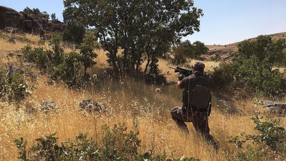 Öldürülen teröristin PKK'nın sözde alan sorumlusu olduğu belirlendi