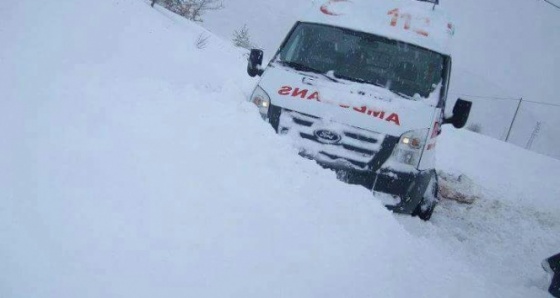 Onlar kara teslim olmadı