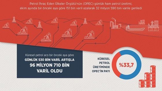 OPEC'in petrol üretimi ekimde düştü