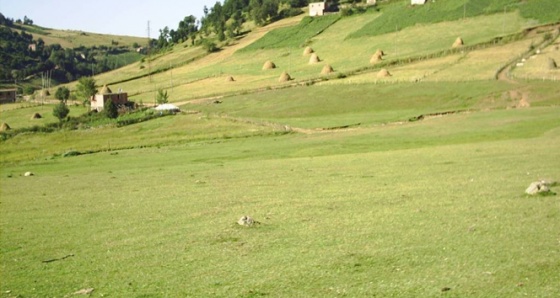 Ordu’da çatışma çıktı