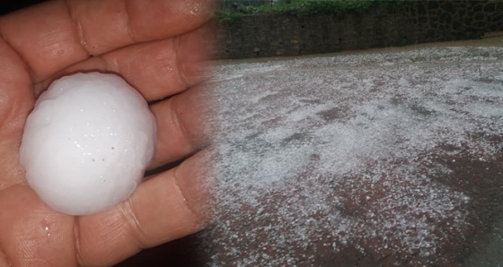 Ordu'da dolu yağışı araçlara ve tarlalara zarar verdi